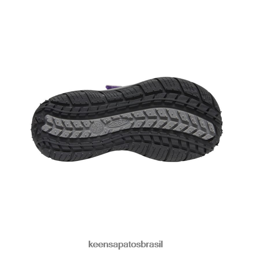 KEEN calçados J8VDXX872 Tillandsia roxa/multi cão de caça rápido Crianças grandes