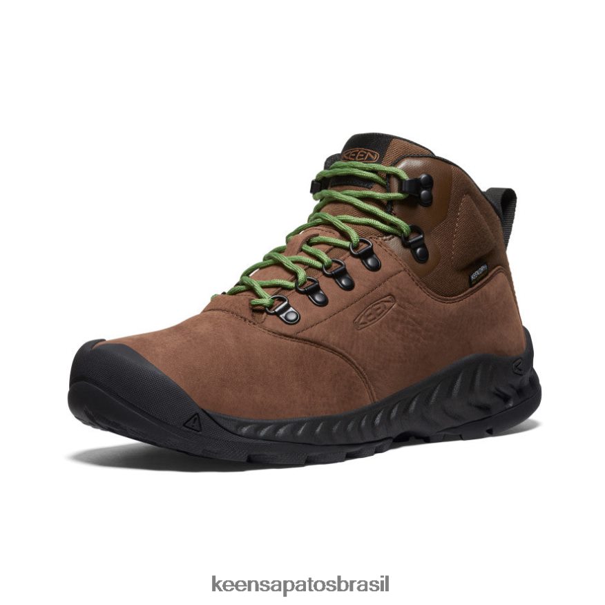 KEEN calçados J8VDXX12 bisonte/acampamento bota impermeável nxis explorer homens