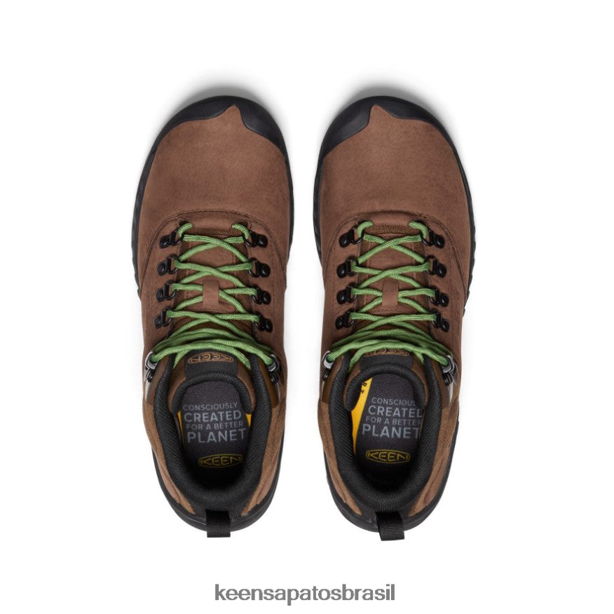 KEEN calçados J8VDXX12 bisonte/acampamento bota impermeável nxis explorer homens