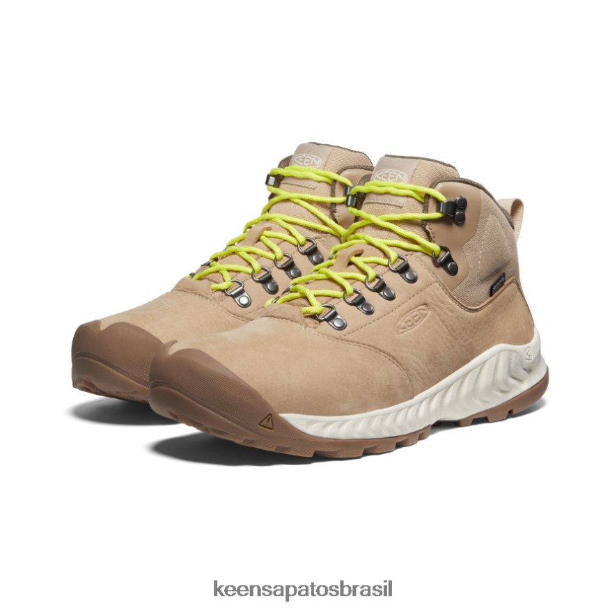 KEEN calçados J8VDXX13 safári/bétula bota impermeável nxis explorer homens