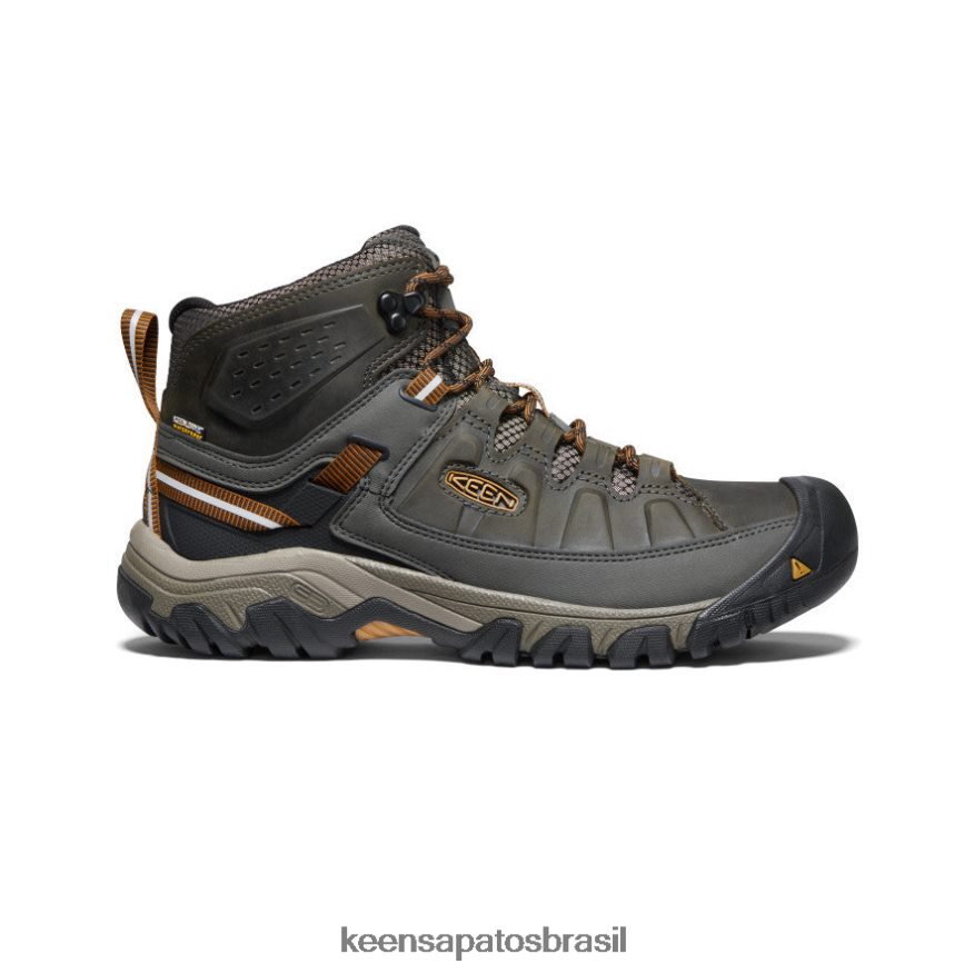 KEEN calçados J8VDXX230 azeitona preta/castanho dourado targhee iii impermeável médio homens