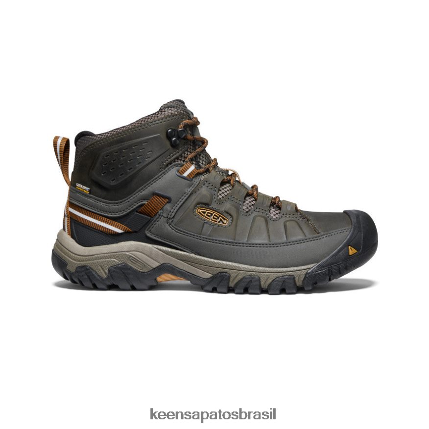 KEEN calçados J8VDXX246 azeitona preta/castanho dourado targhee iii impermeável médio largo homens