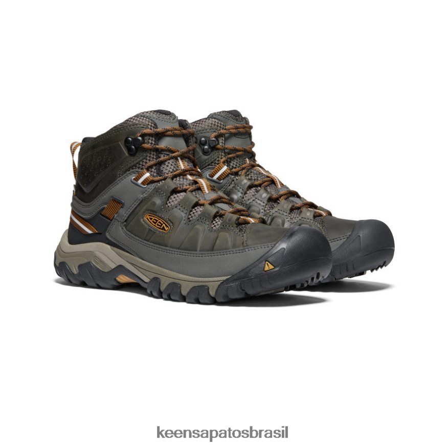 KEEN calçados J8VDXX246 azeitona preta/castanho dourado targhee iii impermeável médio largo homens