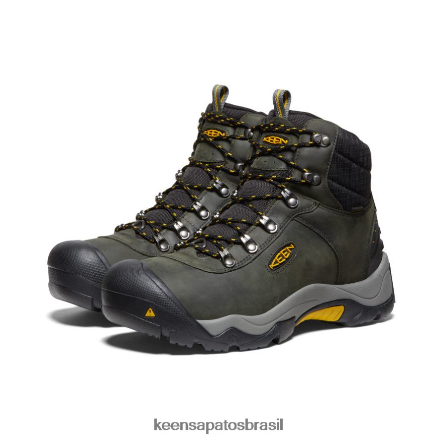 KEEN calçados J8VDXX343 ímã/azeitona fulva revelação iii homens