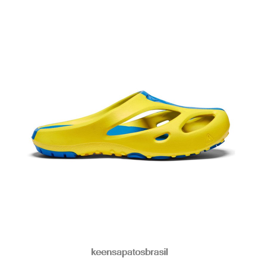 KEEN calçados J8VDXX129 amarelo azul Ucrânia Shanti homens