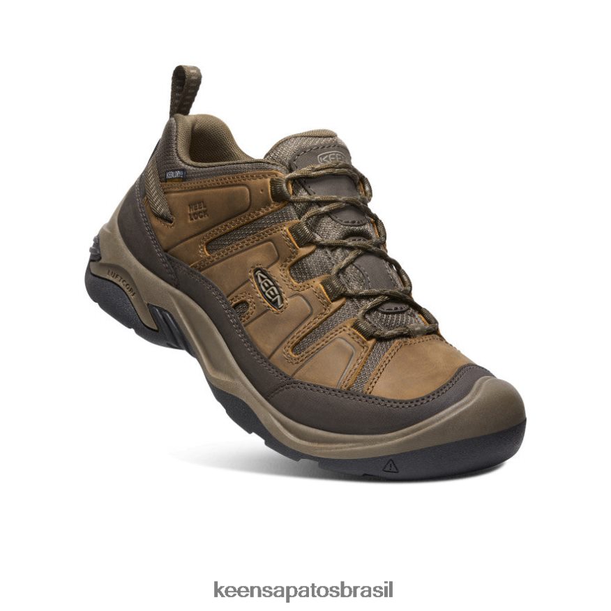KEEN calçados J8VDXX101 shitake/tigrado sapato impermeável circadia homens