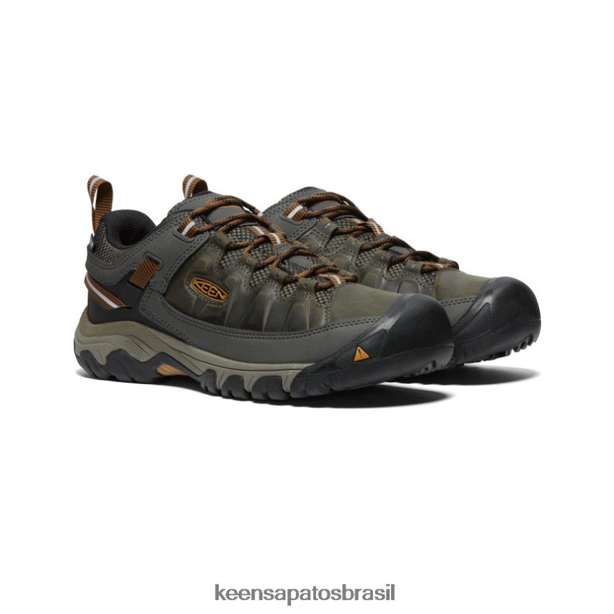KEEN calçados J8VDXX149 azeitona preta/castanho dourado targhee iii à prova d'água homens