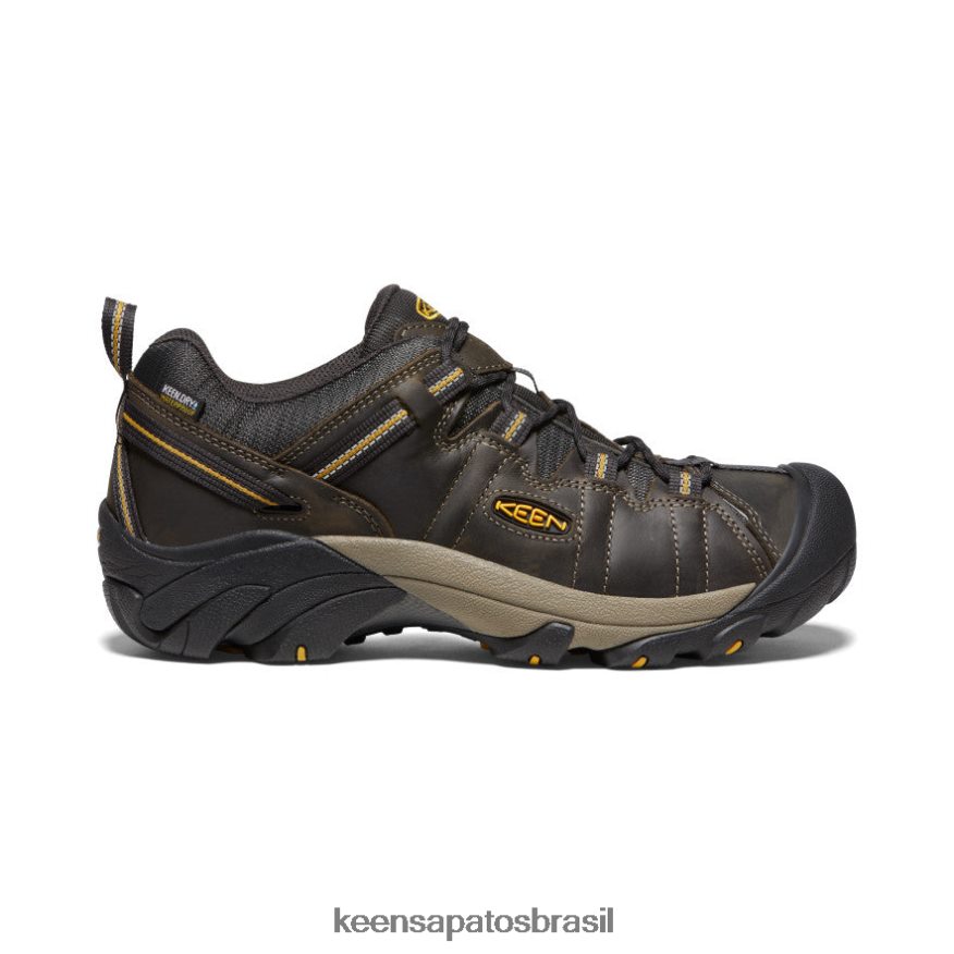 KEEN calçados J8VDXX207 corvo/azeitona fulva targhee ii à prova d'água homens