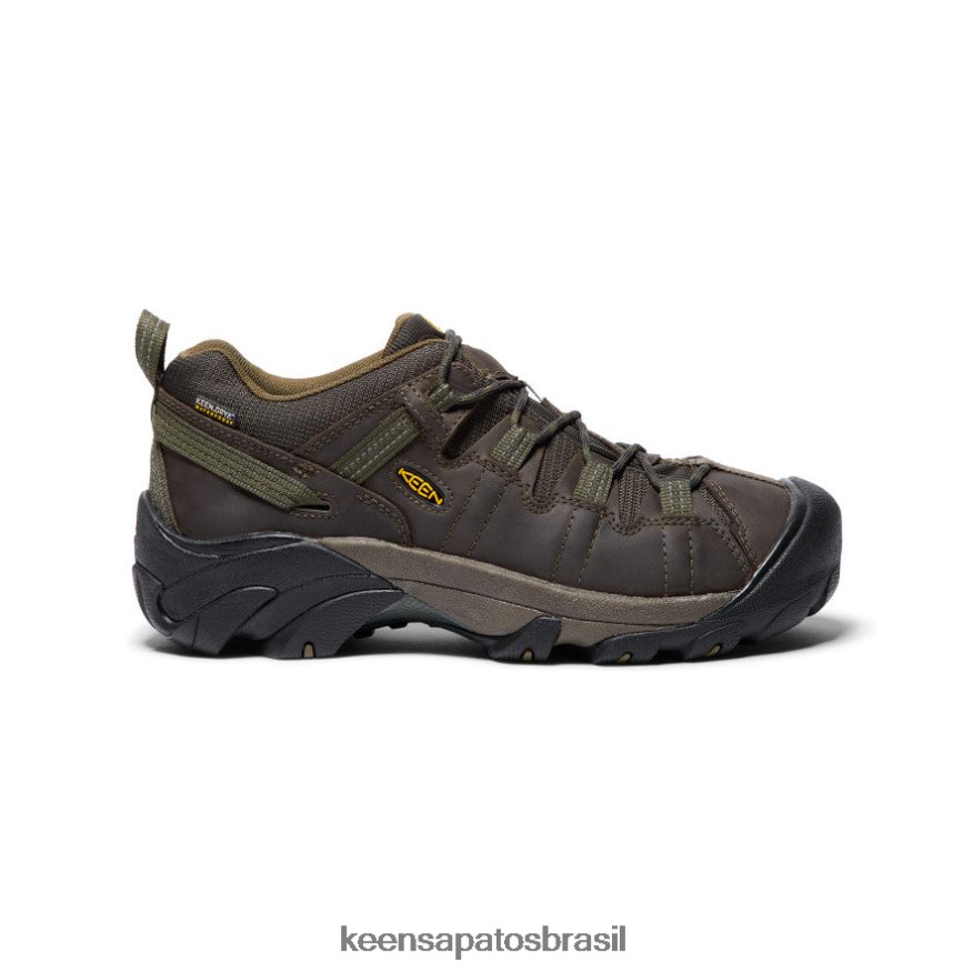 KEEN calçados J8VDXX293 cantina/azeitona escura targhee ii impermeável largo homens